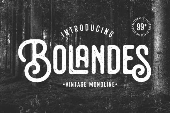 Bolandes: Integrating Vintage Style into Modern Design Workflows
