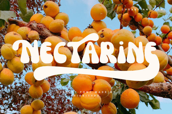 Nectarine: The Retro Display Font That Elevates Any Design